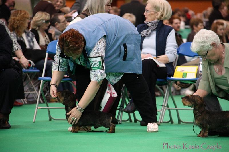 Crufts2011_2 714.jpg